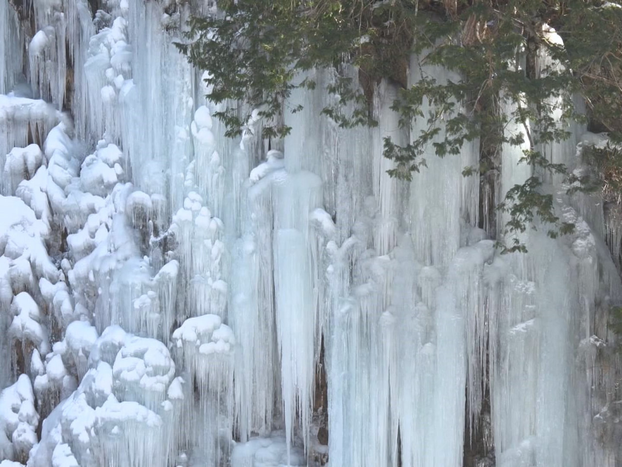 冬の風物詩「青氷の滝」が出現 岐阜県高山市高根町｜ニュース｜ぎふ