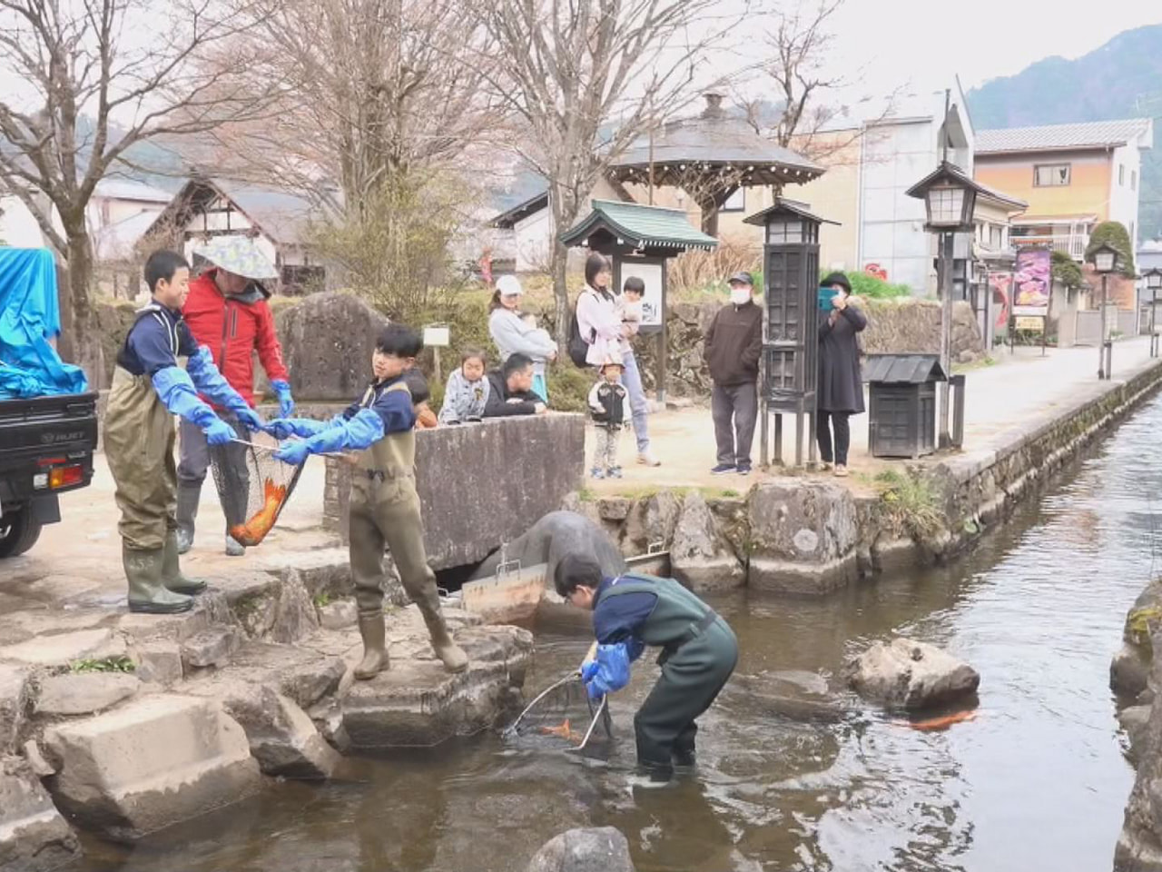 雪深い飛騨に春の訪れの光景です。飛騨市古川町の観光名所、白壁土蔵街を流れる瀬戸川...