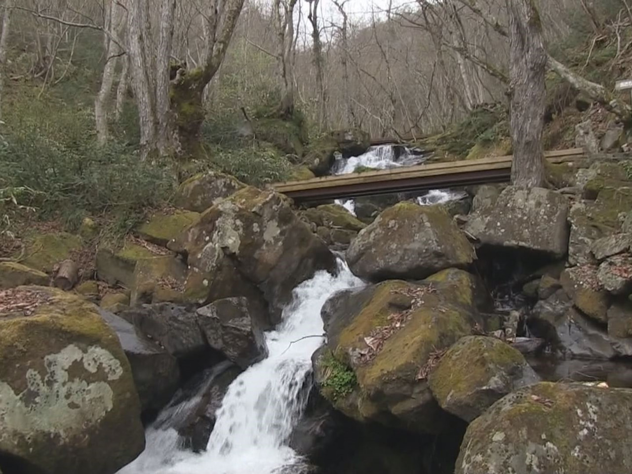 高山市国府町の宇津江四十八滝で滝開きが行われ、市や観光協会の関係者らが今シーズン...