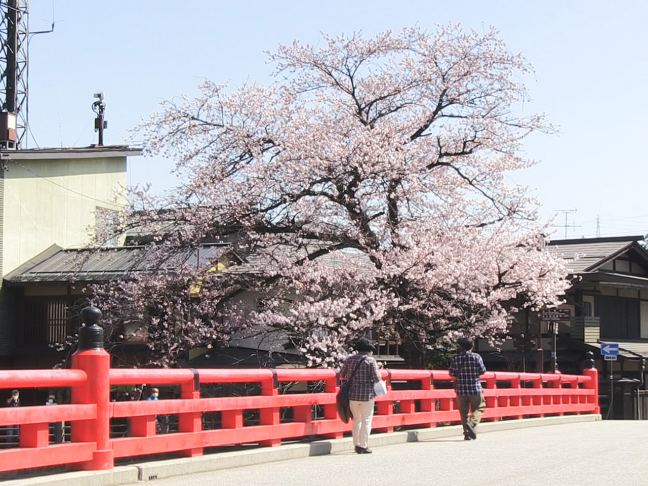 岐阜県内は12日も暑い一日となり、高山市の中心市街地では14日からの高山祭に合わ...