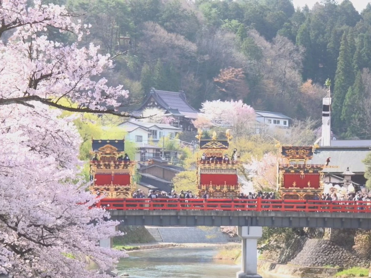 「日本三大美祭」に数えられる伝統の「春の高山祭」が１４日開幕し、絢爛豪華な祭屋台...