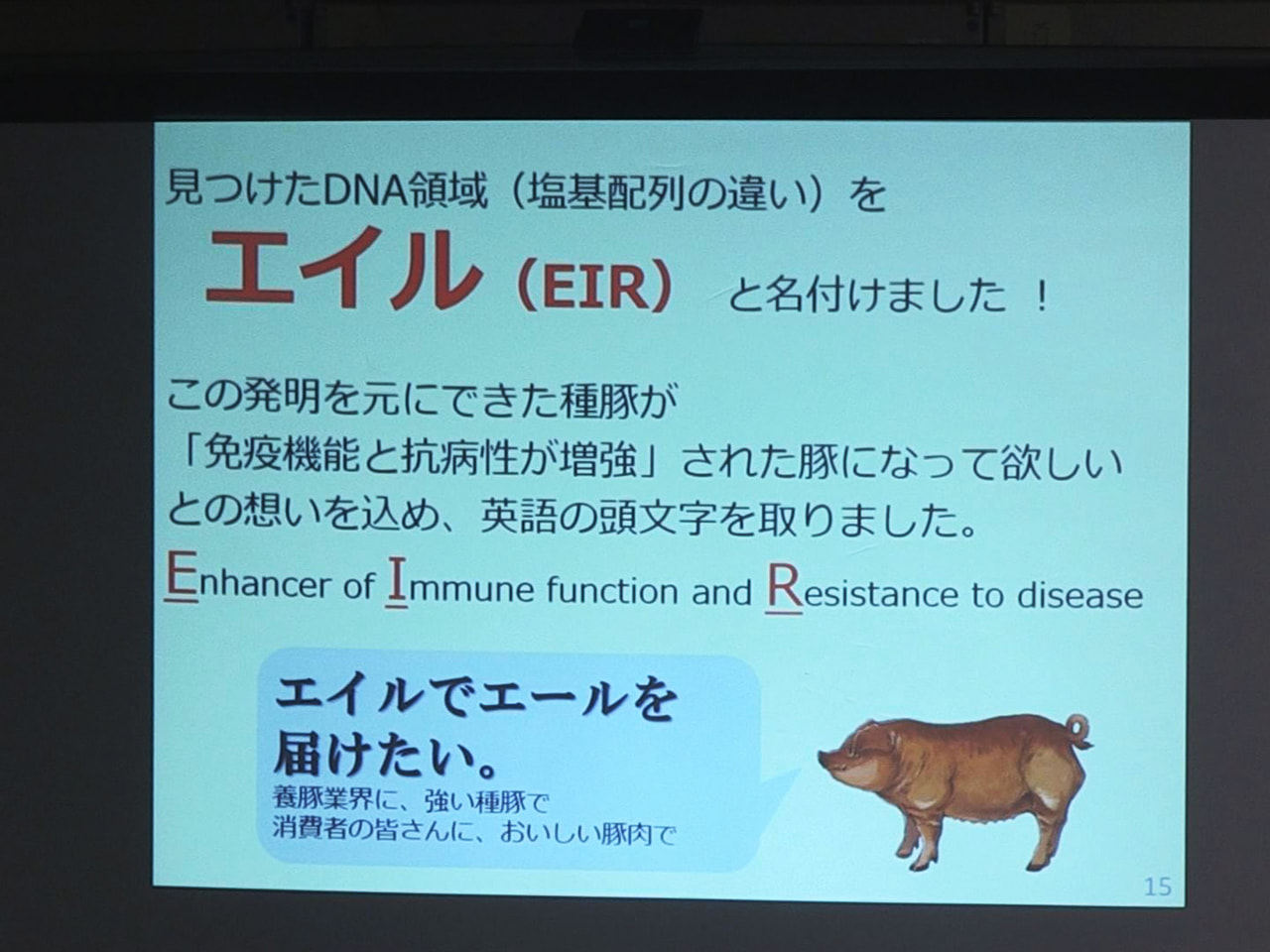 岐阜県は１９日、肺炎などにかかりやすくなるウイルスに強い豚の判別方法を世界で初め...
