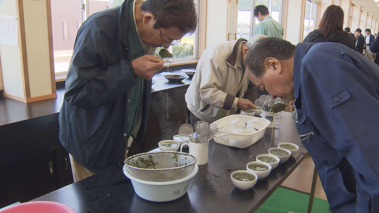 県内有数のブランド茶「美濃いび茶」の一番茶の初共販会が揖斐郡揖斐川町で開かれまし...