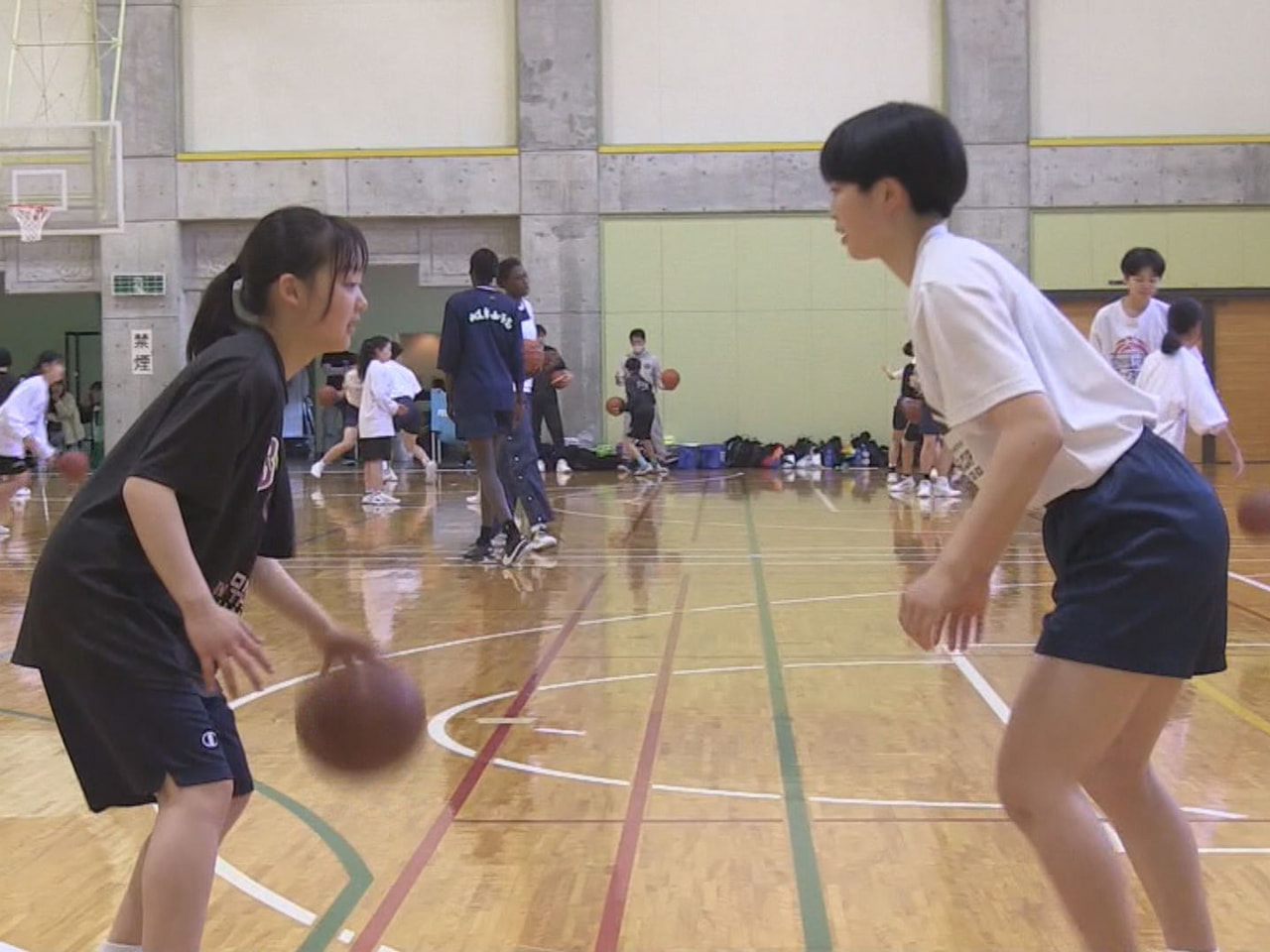飛騨地域の中学生が所属する女子バスケットボールのクラブチームは３日、高山市で全国...