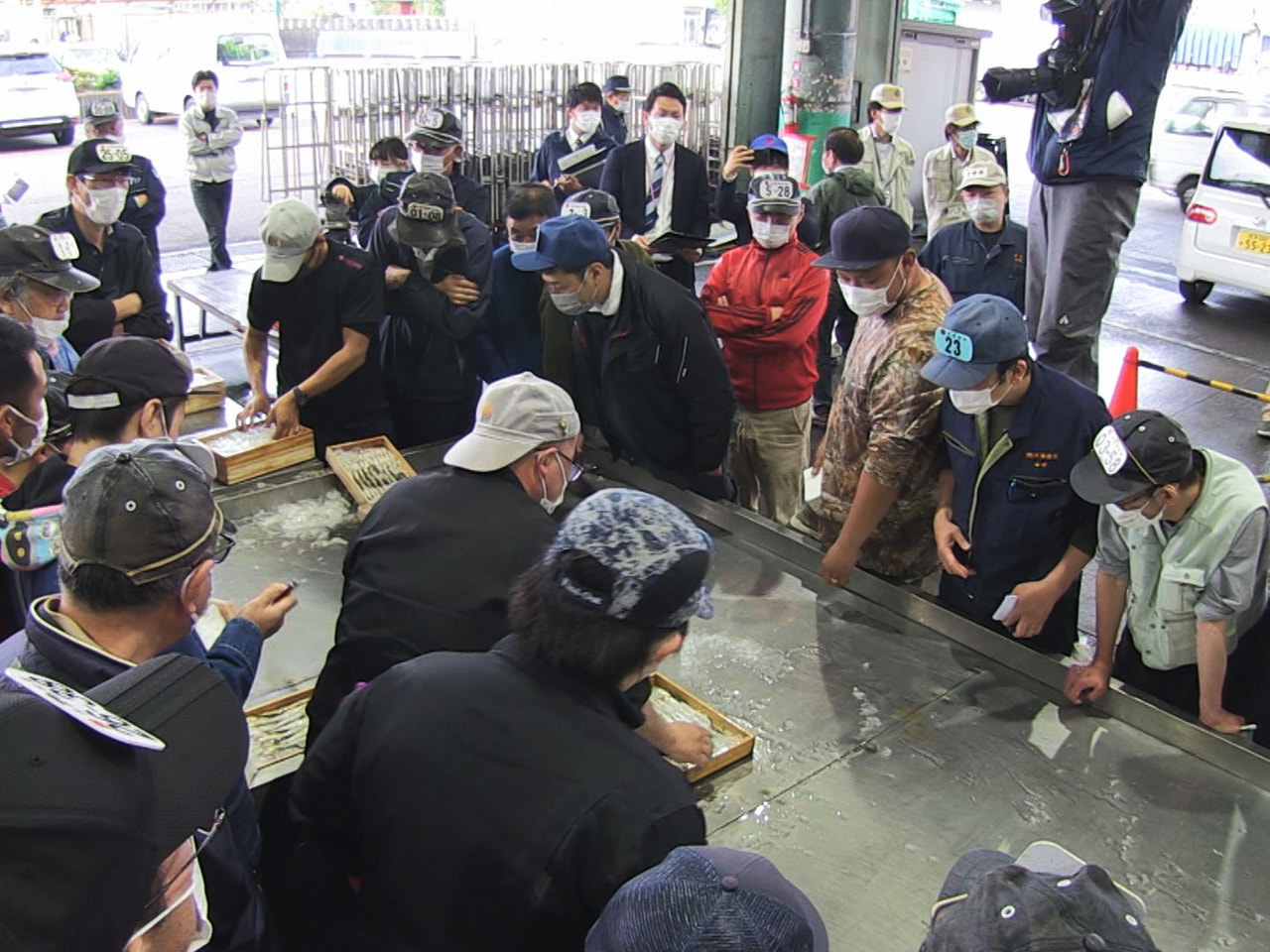 初夏の訪れを告げる鮎の初競りが１２日、岐阜市の中央卸売市場で行われました。 鮎の...
