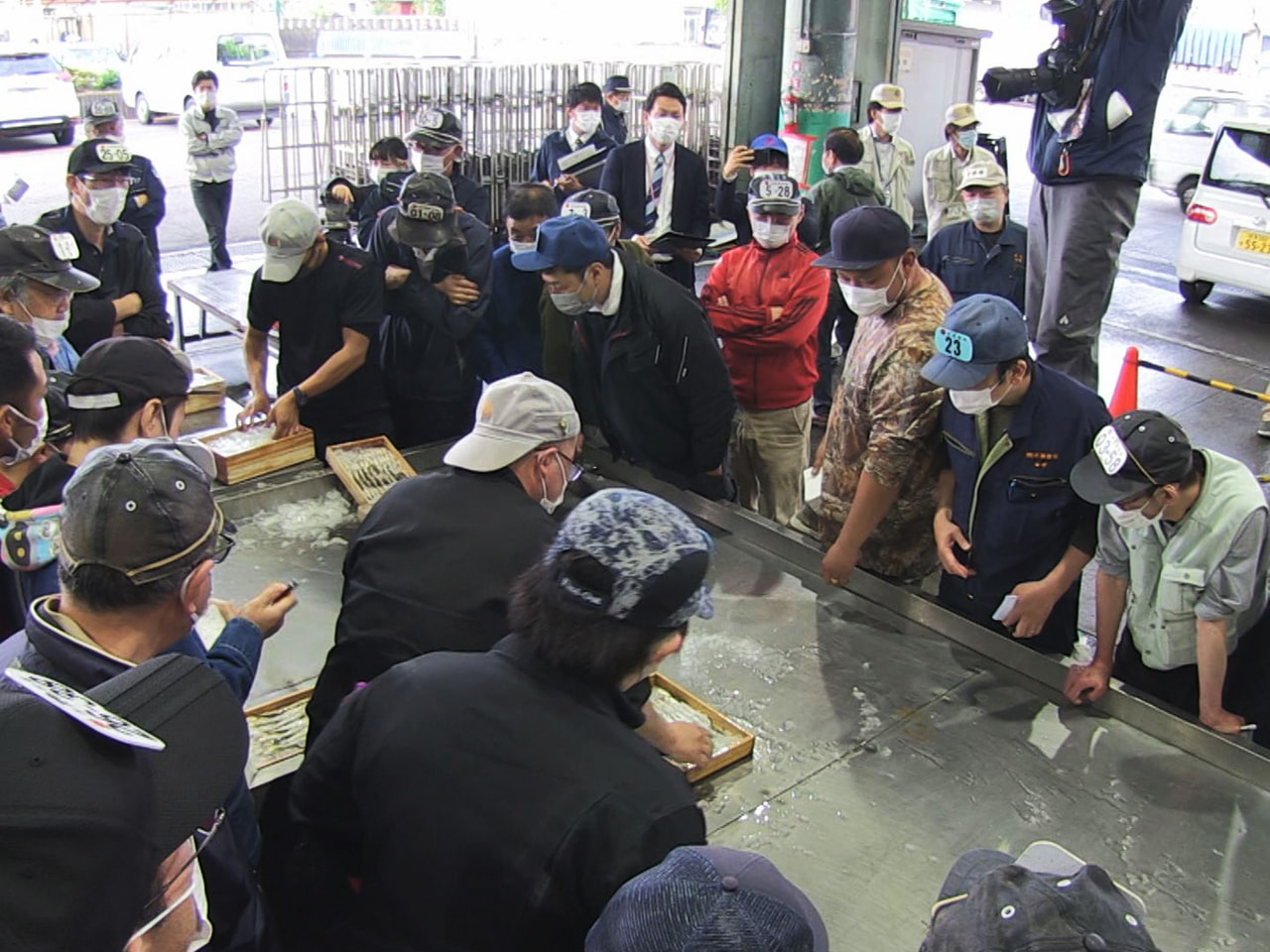 初夏の訪れを告げる鮎の初競りが12日、岐阜市の中央卸売市場で行われました。 鮎の...