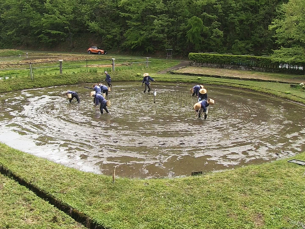 高山市松之木町に江戸時代から残る丸い形の田んぼ「車田」で14日、田植えが行われま...