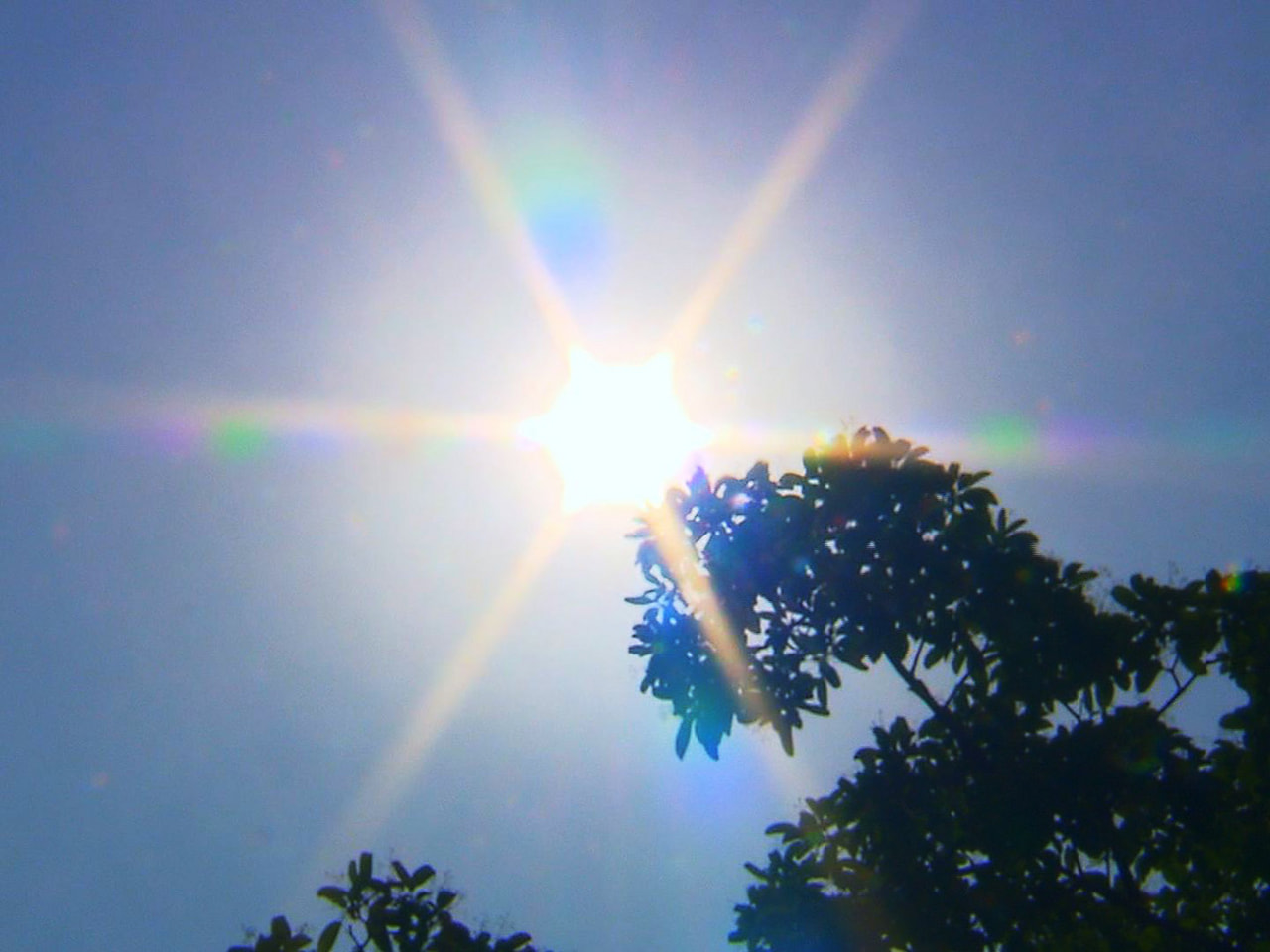 18日の岐阜県内は、上空にかなり暖かい空気が流れ込み、最高気温は7月上旬並みのと...