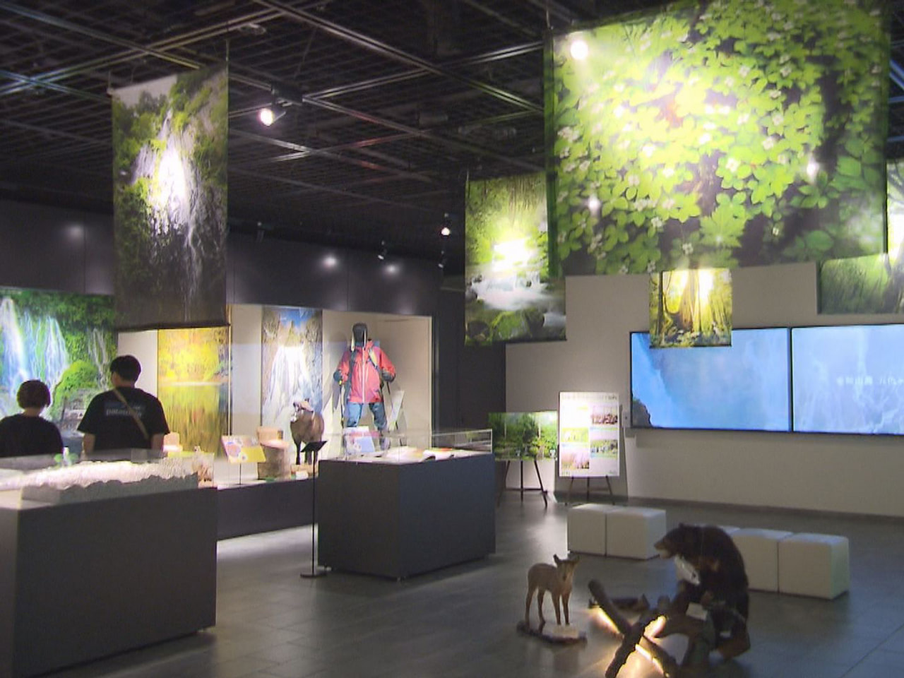 北アルプス 乗鞍岳のふもとに広がる高山市の「五色ヶ原の森」を紹介する企画展が、県...