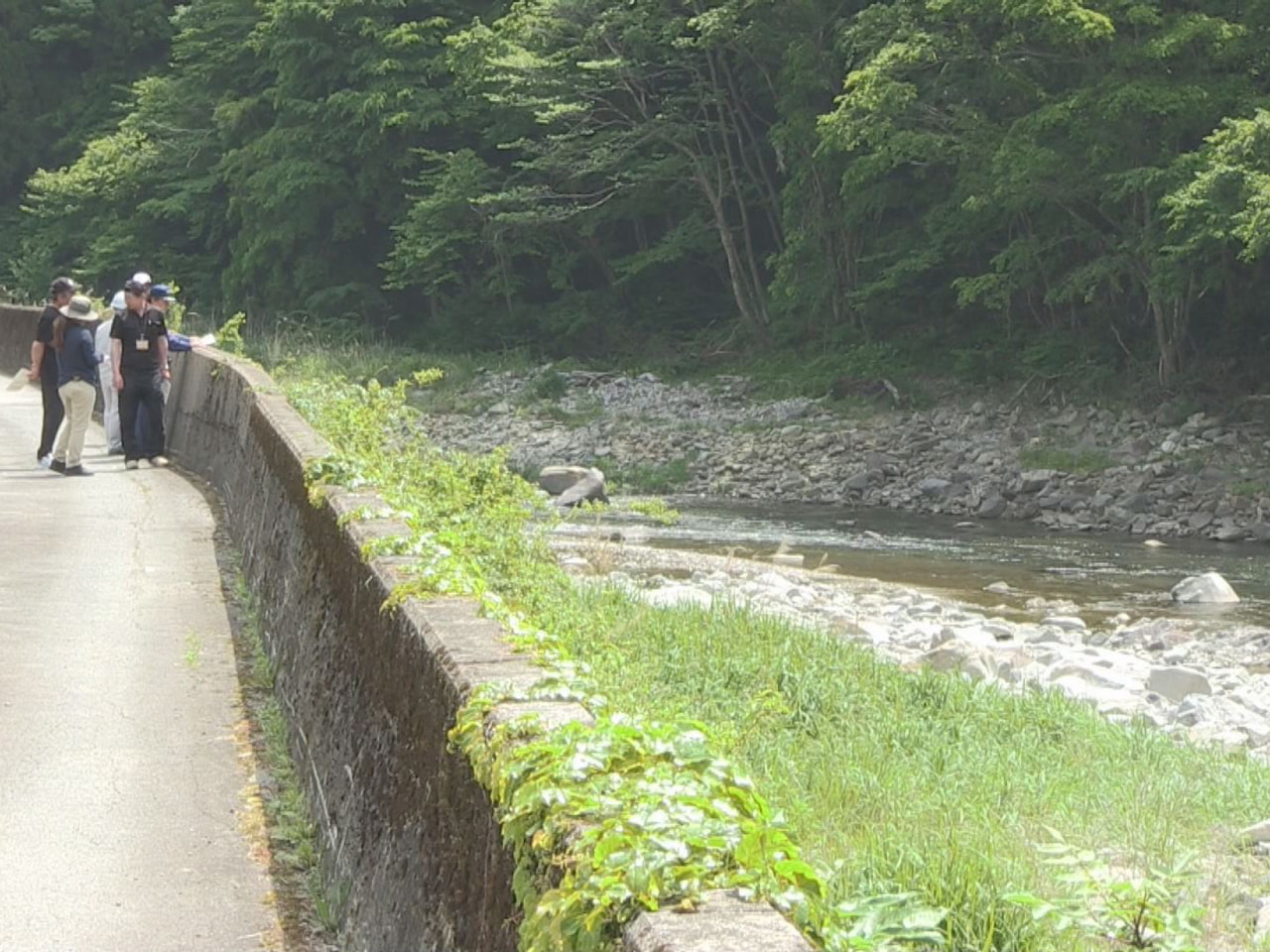 本格的な雨の時期に備え、高山市で、飛騨川の危険箇所を県や市、地域住民らが合同で点...