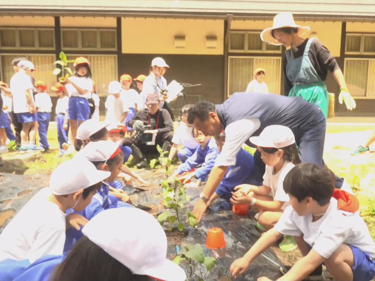 高山市国府町で古くから栽培されている伝統野菜「国府なす」の栽培体験が、今年も地元...
