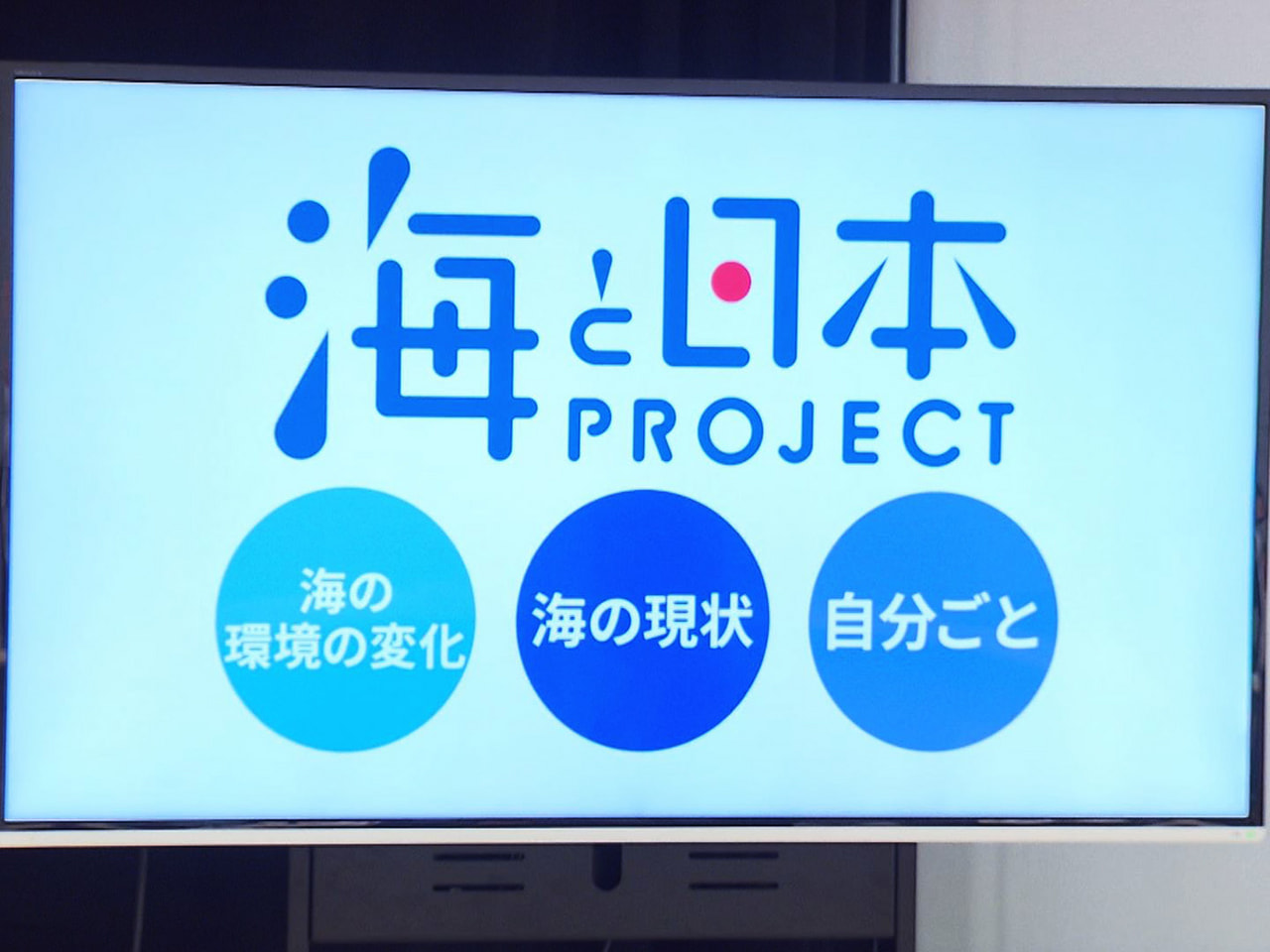海にまつわる社会課題を考え未来につなぐための取り組みを推進する海と日本プロジェク...