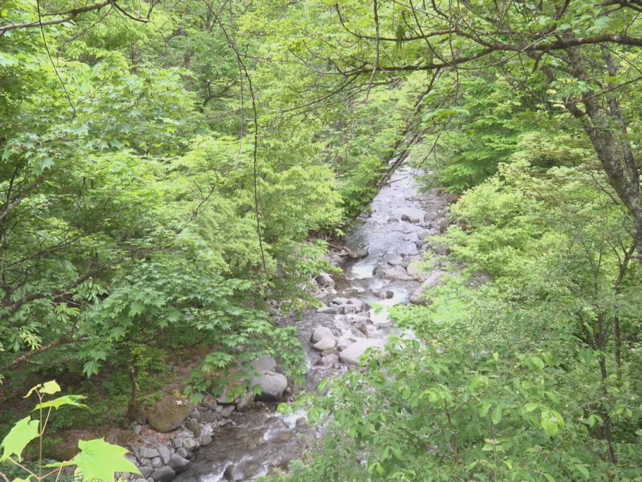 高山警察署は２８日、高山市の沢で男性の遺体が発見されたと発表しました。男性は渓流...