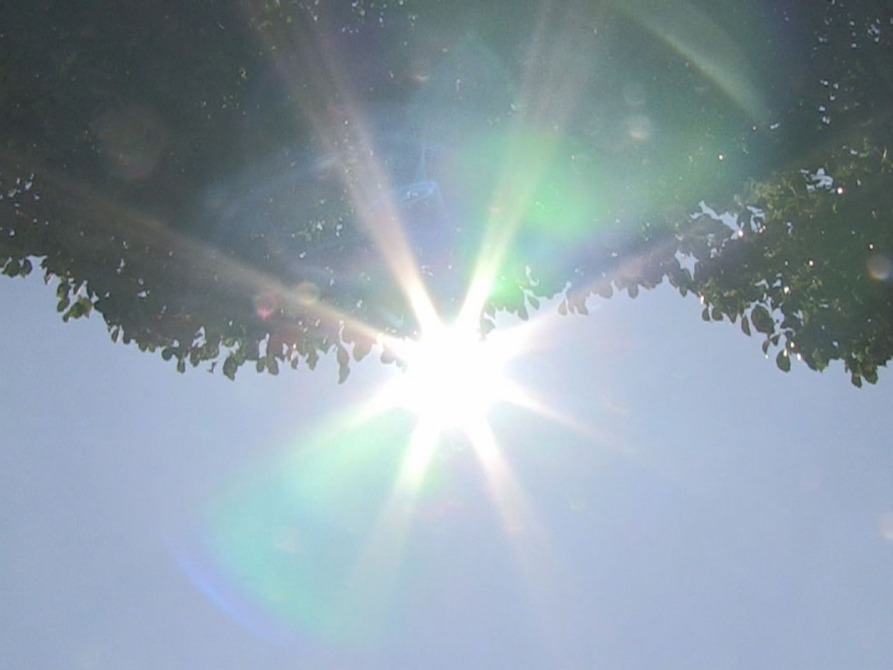 岐阜県内は暖かい空気と強い日差しで気温が上がり、各地で３５度を超え、猛暑日となり...
