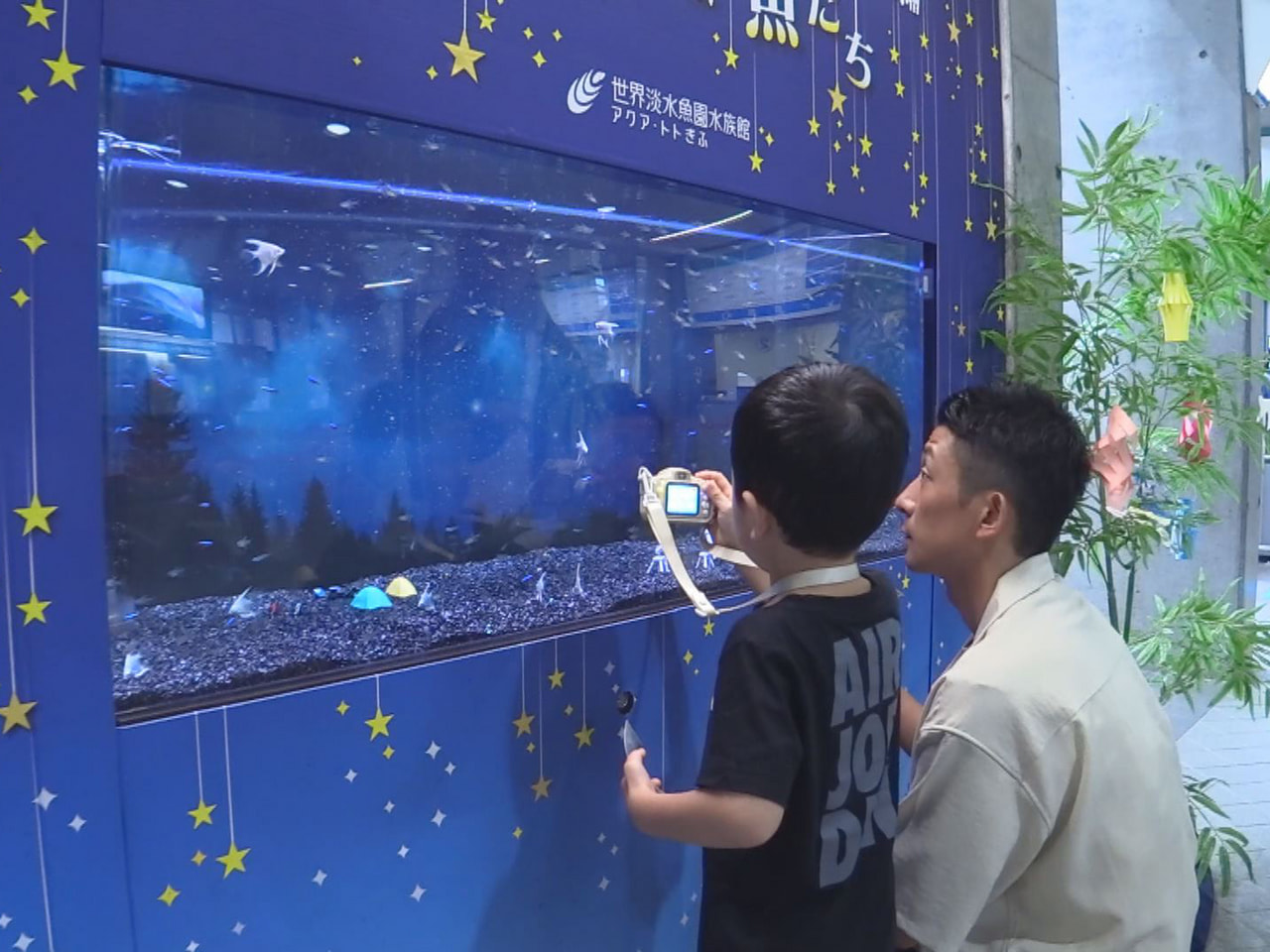 七夕を前に天の川の星のように輝く魚を展示する企画水槽が、各務原市の水族館「アクア...
