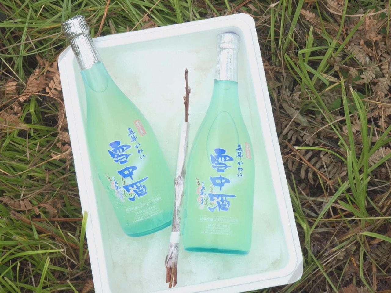 天然雪の中で熟成させた酒「飛騨かわい雪中酒」の出荷作業が、飛騨市で始まりました。...