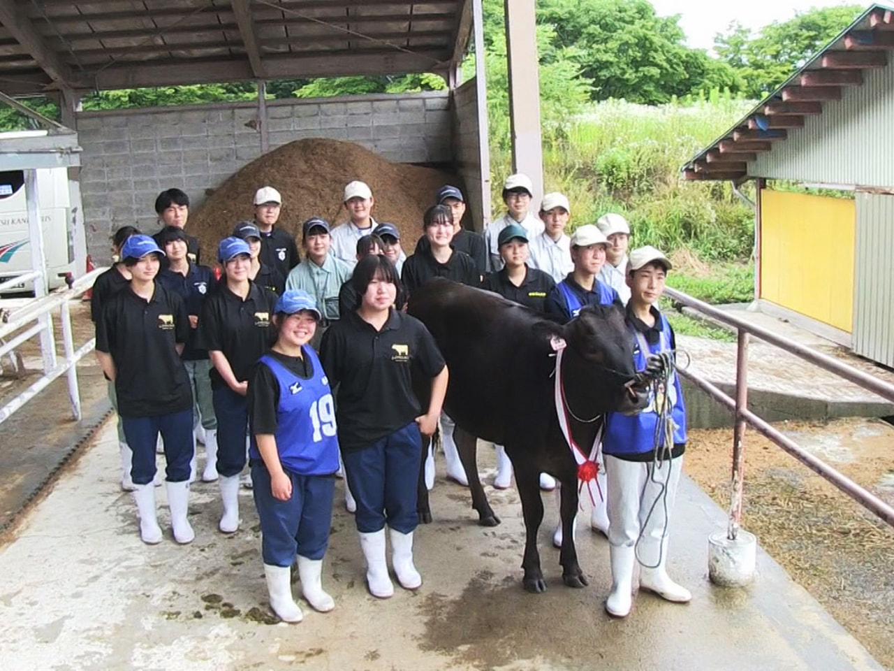 10月に鹿児島県で開催される「全国和牛能力共進会」に出品する種牛の最終選考会が高...