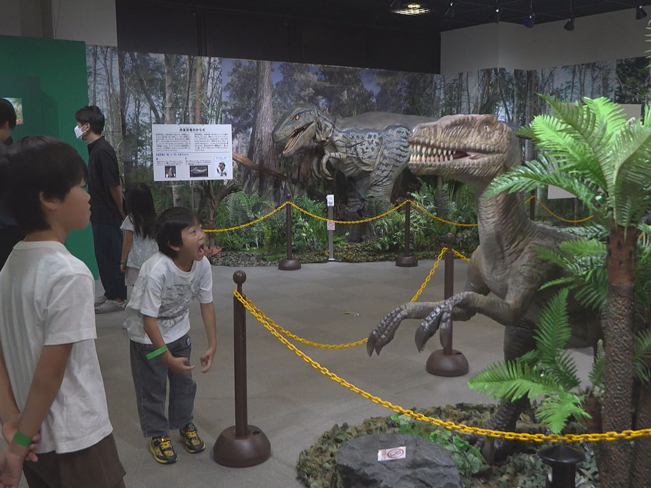 岐阜市科学館で夏休み恒例の特別展が始まり、多くの子どもたちで賑わっています。 こ...