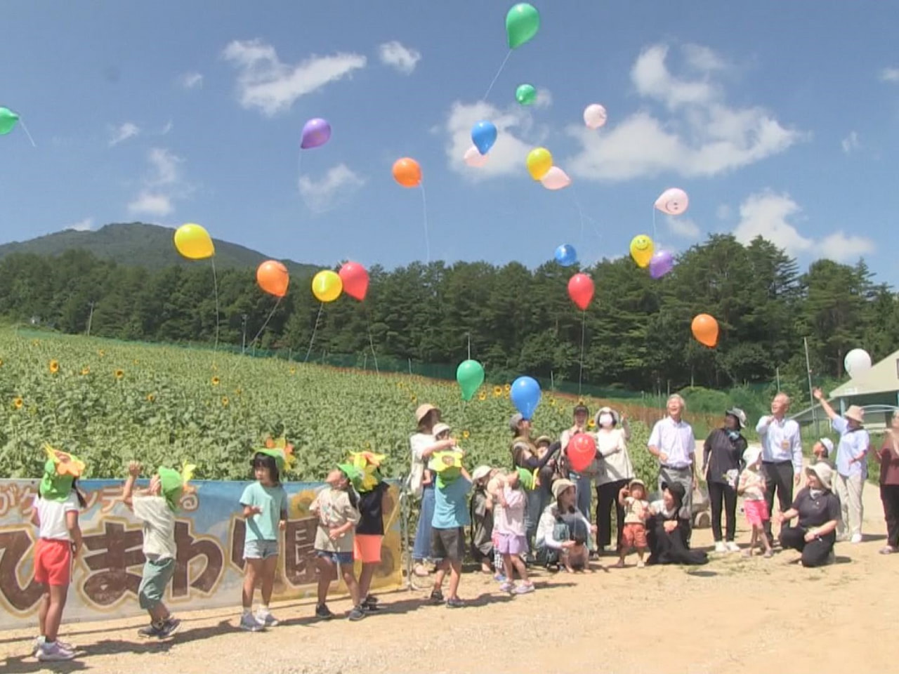 高山市の「アルコピアひまわり園」では、２日のオープンを前に１日、関係者や地元園児...