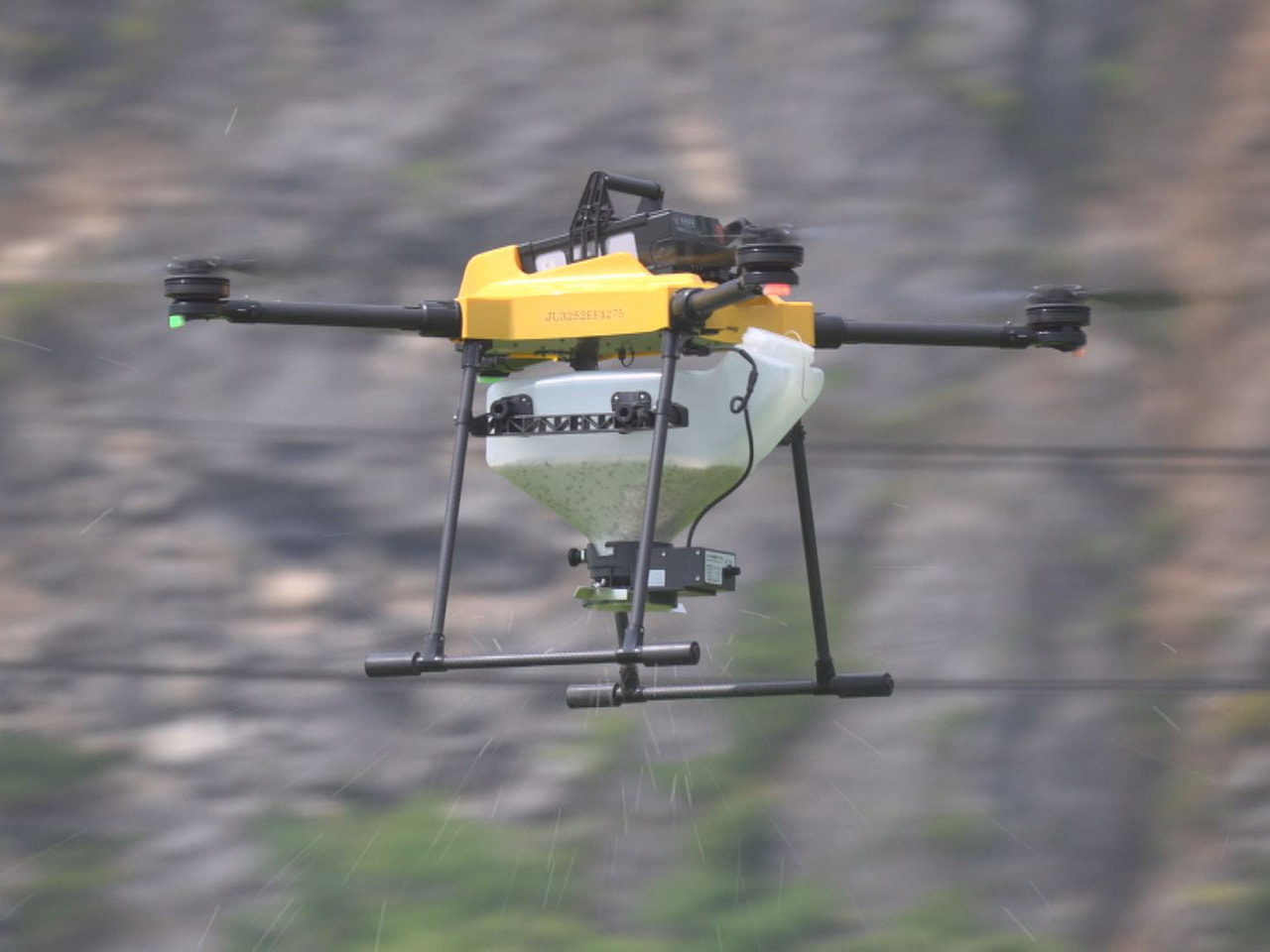 スマート農業の実演会 発育状況をAIが解析 ドローンで施肥 岐阜県