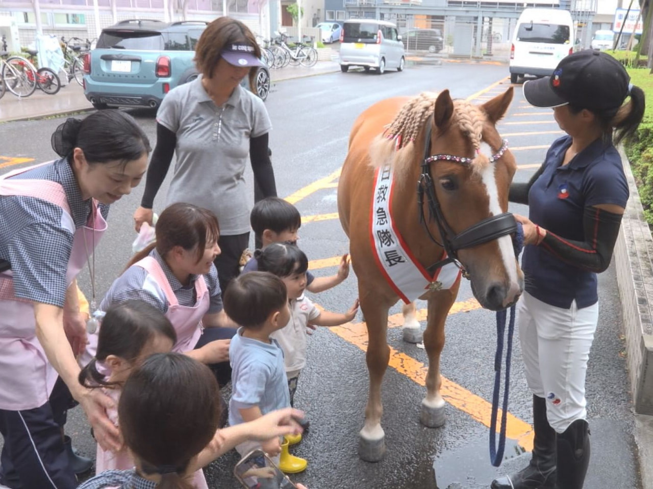 救急の日の９日、羽島広域連合消防本部は、笠松けいばの誘導馬を務めるポニーを一日救...