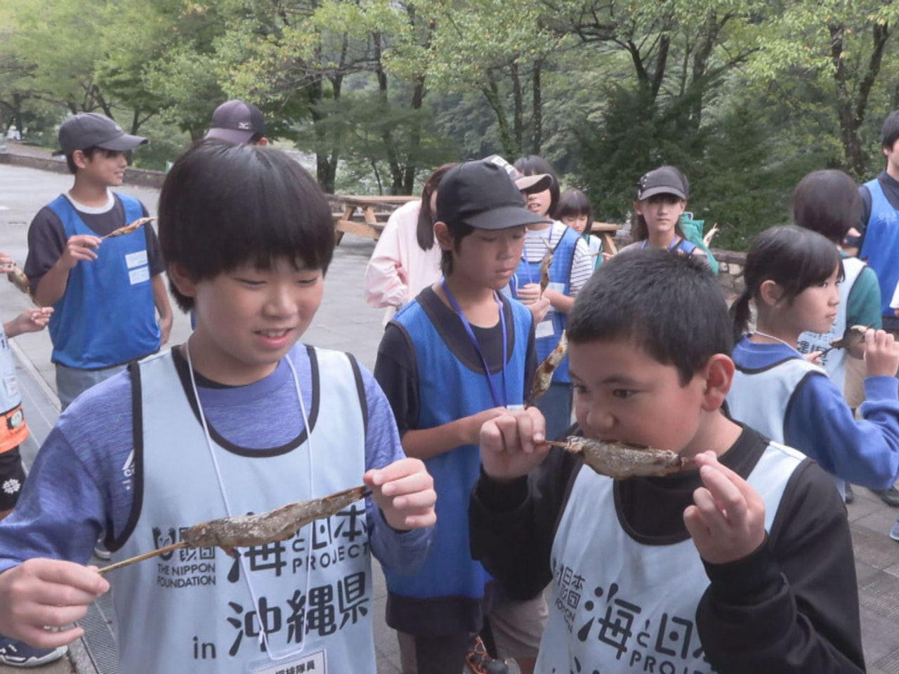 岐阜県と沖縄県の子どもたちが「アユ」をテーマに交流する体験学習が、岐阜県郡上市の...