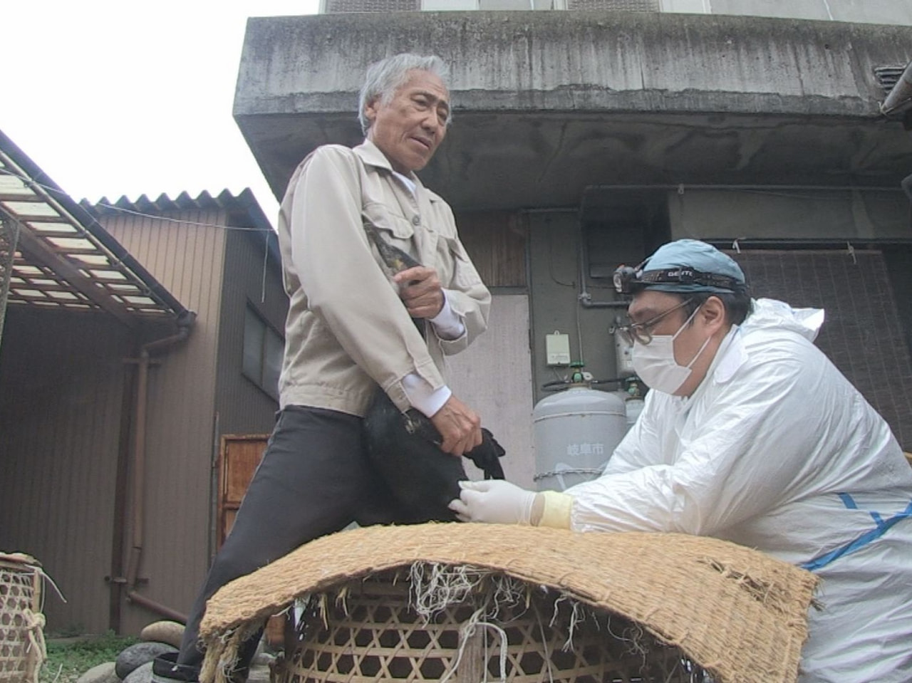 今年の岐阜市・長良川鵜飼と関市の小瀬鵜飼は１５日に閉幕しました。その鵜飼でシーズ...