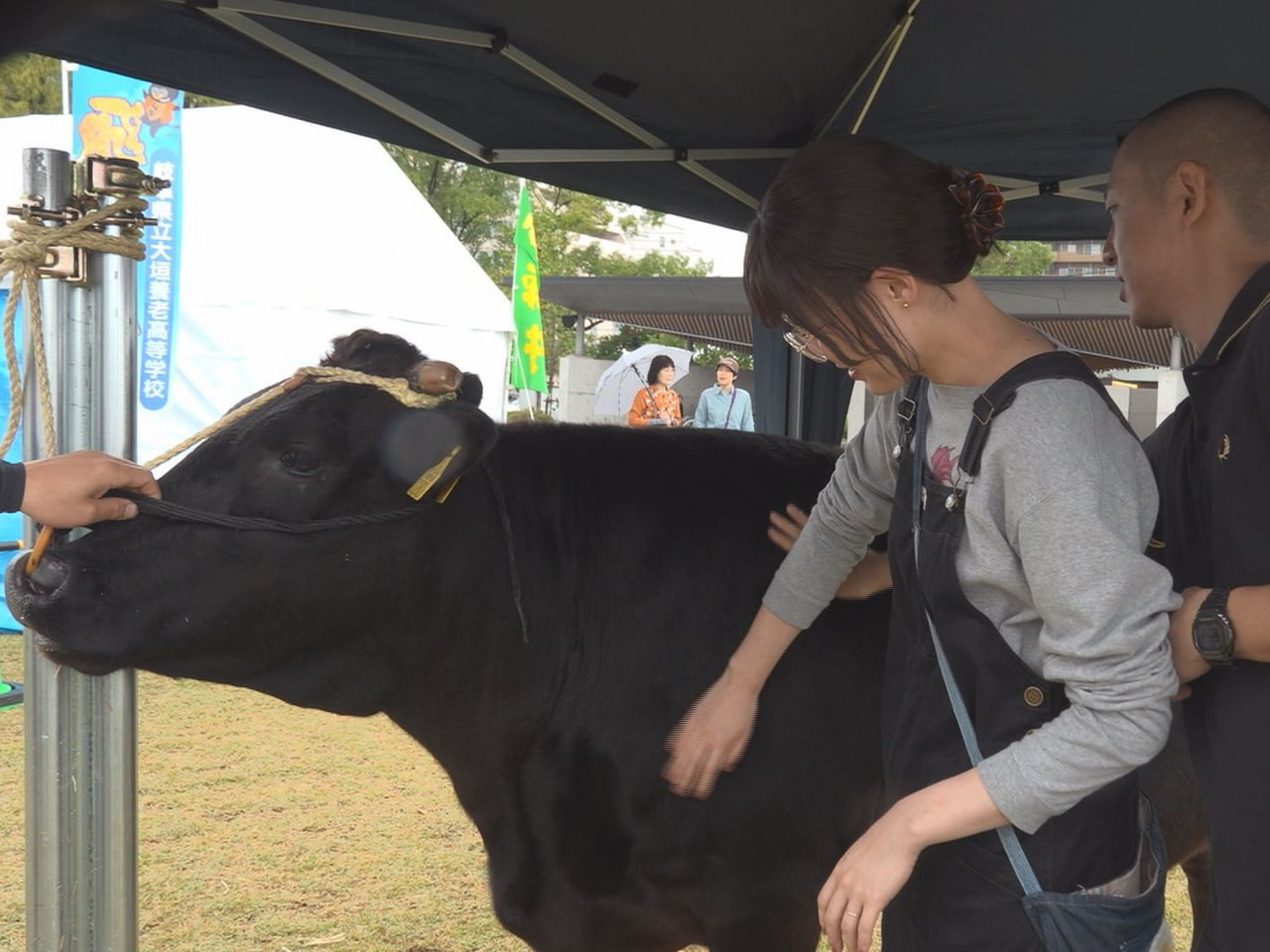 県最大級の食と農の祭典「県農業フェスティバル」が県庁一帯で開かれ、多くの来場者で...