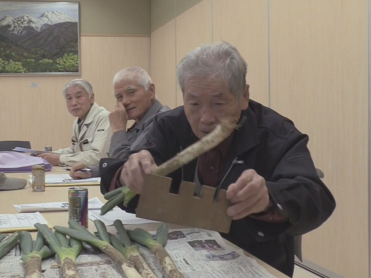 北アルプス、乗鞍岳の麓の高冷地で栽培された甘くて柔らかい太ネギ、「飛騨のりくらね...