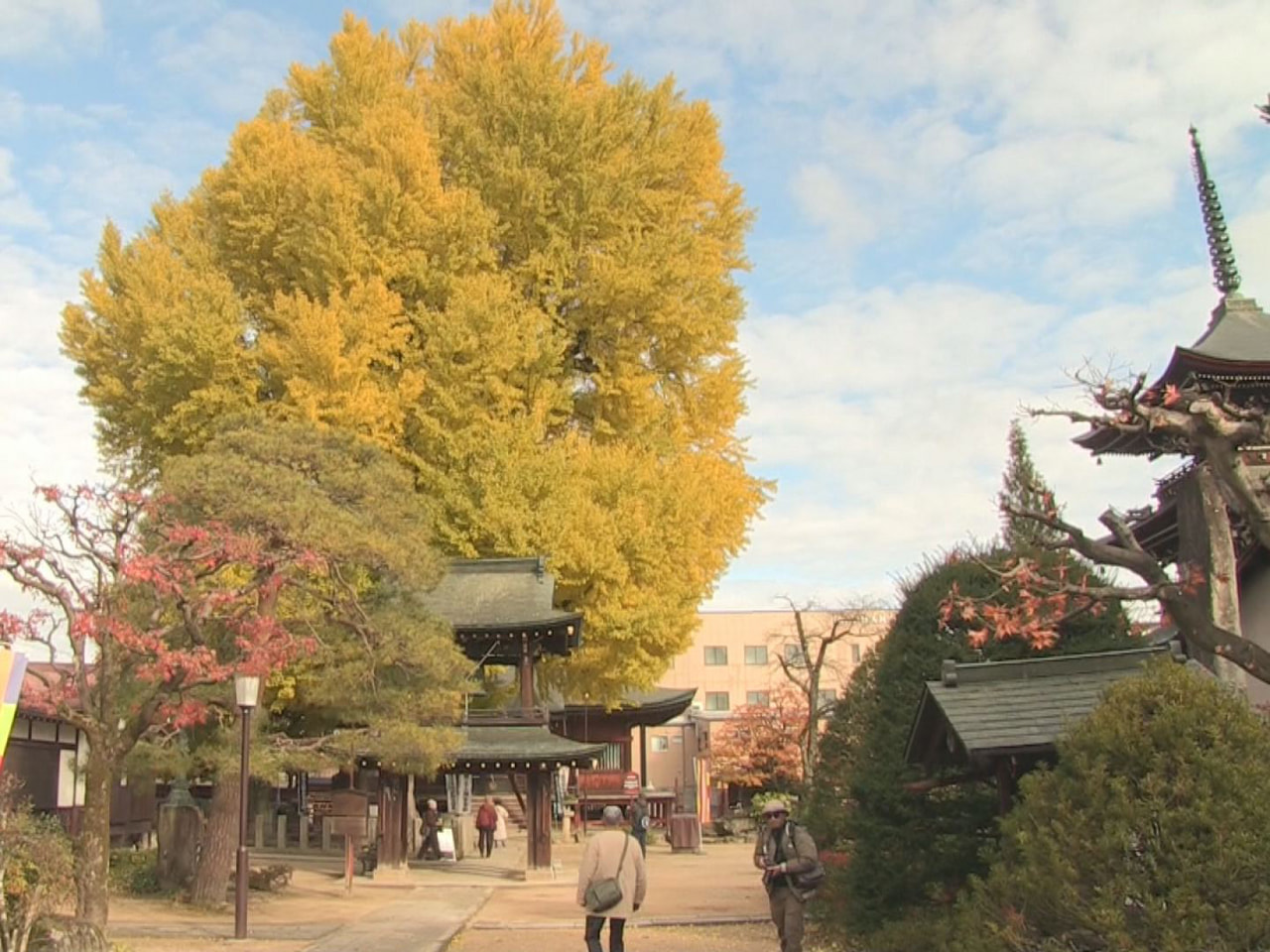 強い寒気の影響で岐阜県内各地では１９日朝、今シーズン一番の冷え込みとなり、飛騨地...