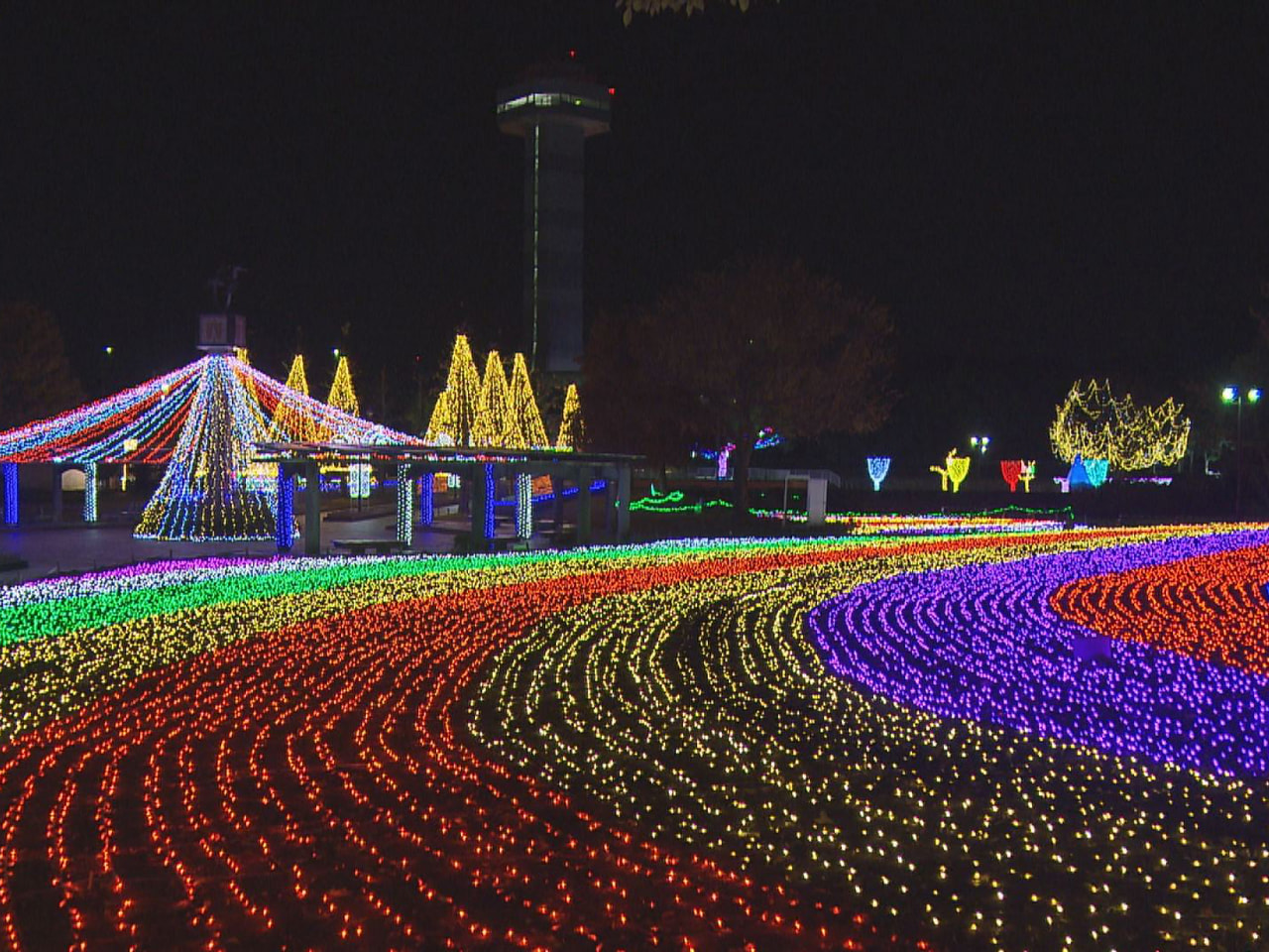 海津市の木曽三川公園センターをイルミネーションで彩る「冬の光物語」が２３日に開幕...