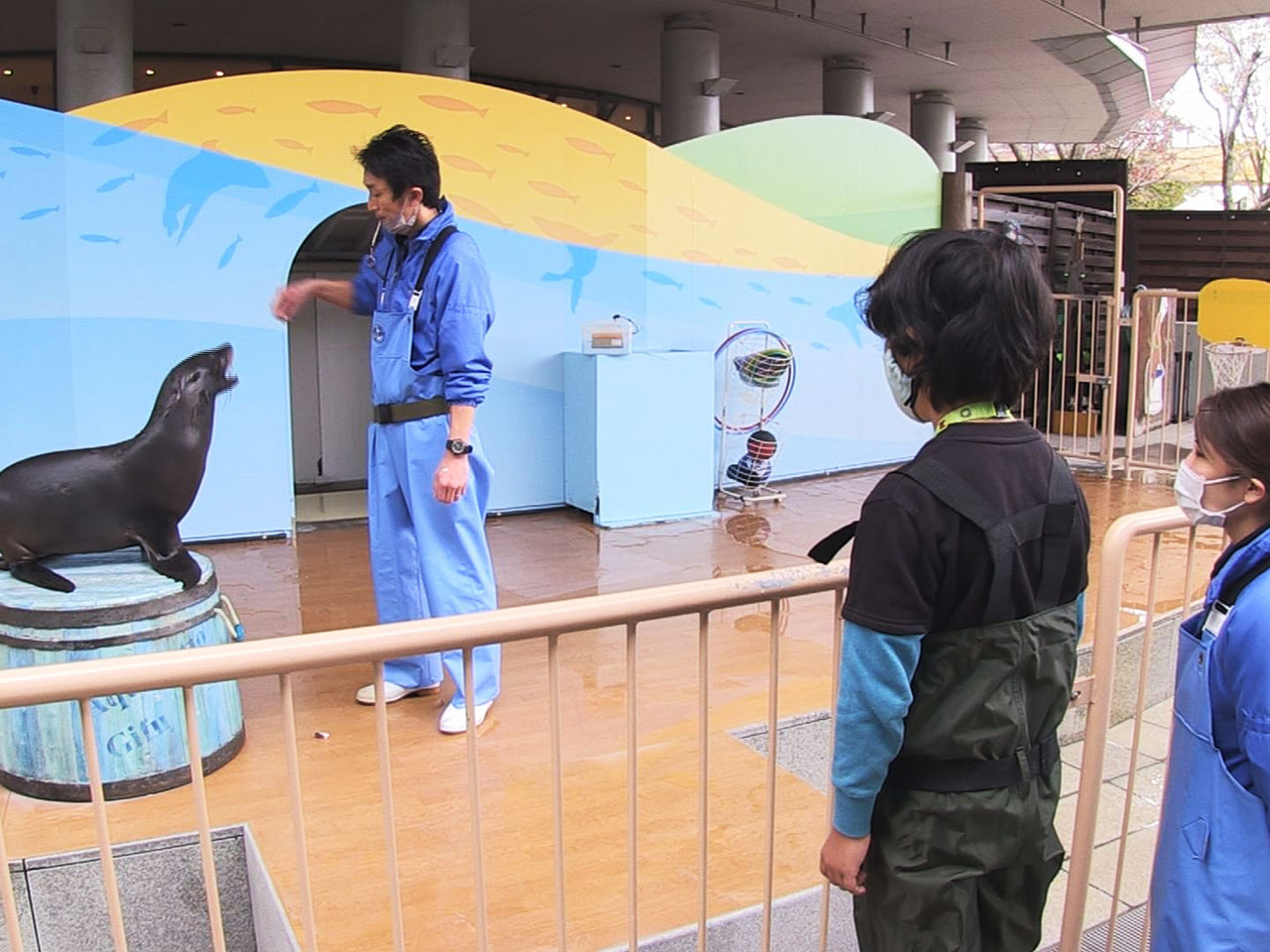 勤労感謝の日にちなみ、各務原市のアクア・トトぎふでは、水族館の仕事を体験するイベ...