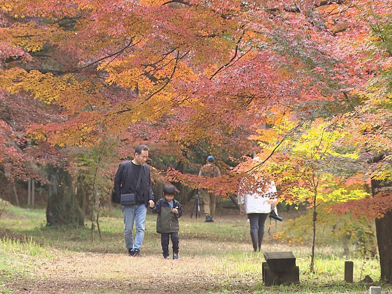 秋晴れに恵まれた３連休、県内各地の紅葉スポットは観光客らでにぎわいました。 この...