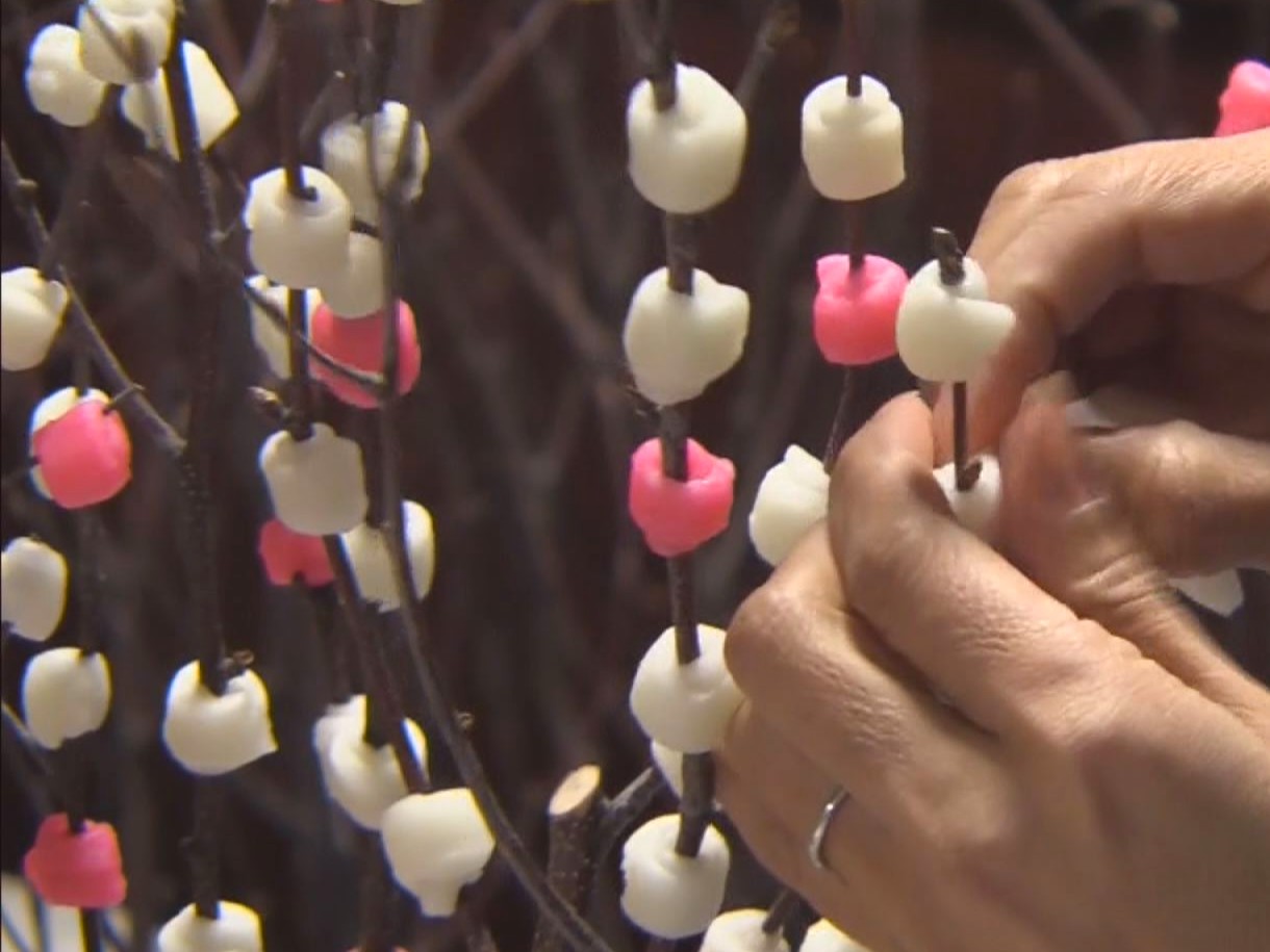 飛騨地方の正月を華やかに彩る「花もち」作りが、高山市の工房で最盛期を迎えています...