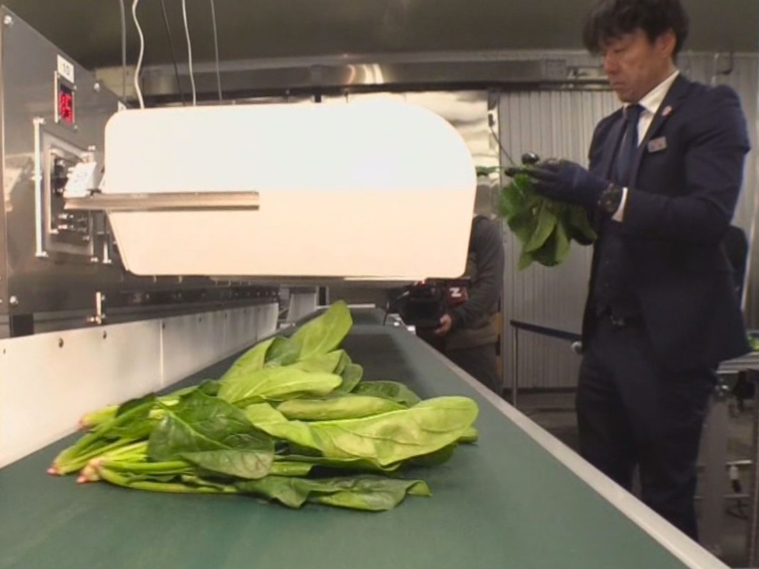 ＪＡ全農岐阜は、「飛騨ほうれんそう」を出荷する農家の負担を軽減しようと、最新の機...