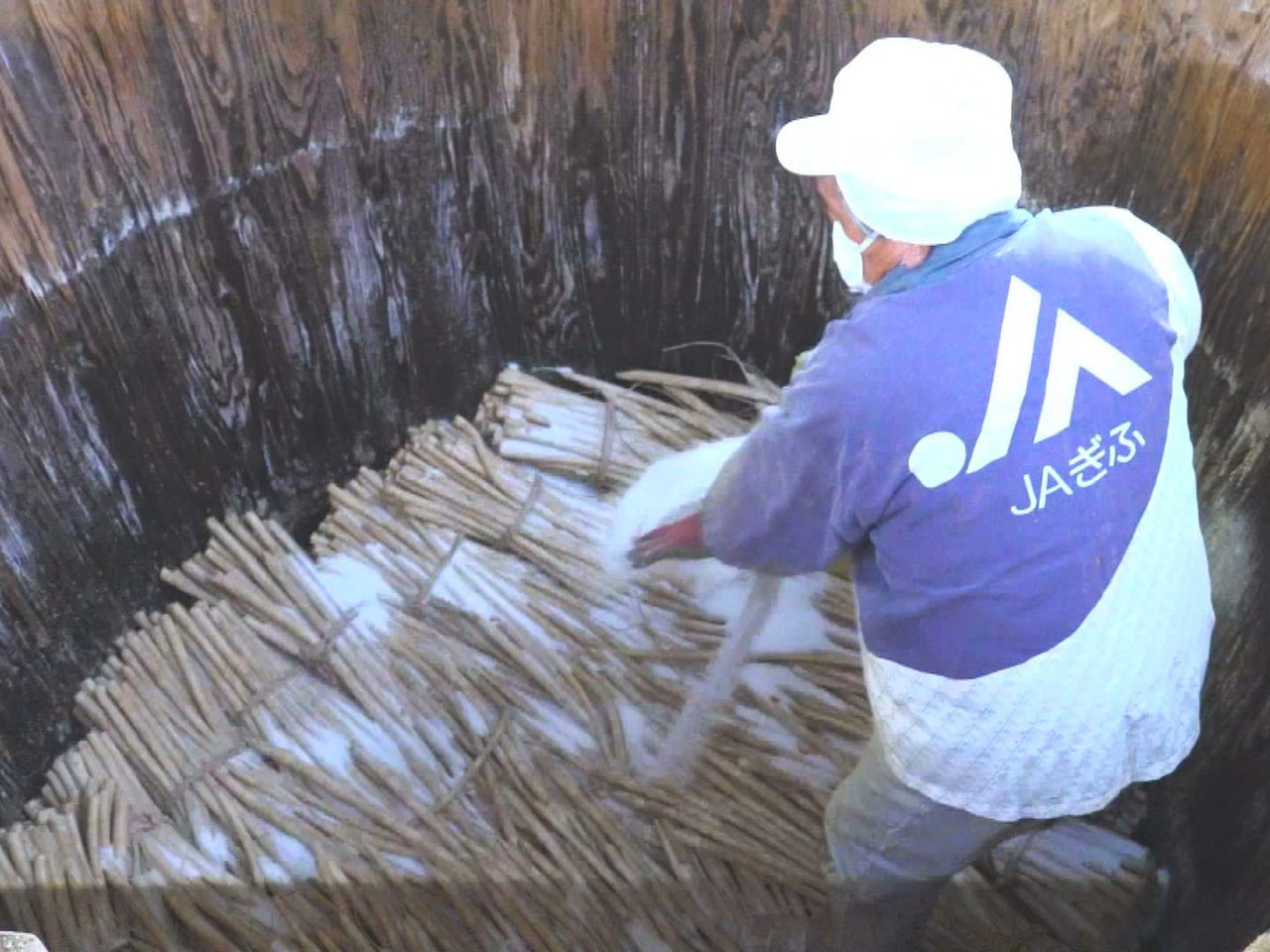 長さが１メートル以上に育ち世界一長い大根とされる「守口だいこん」の漬け込み作業が...