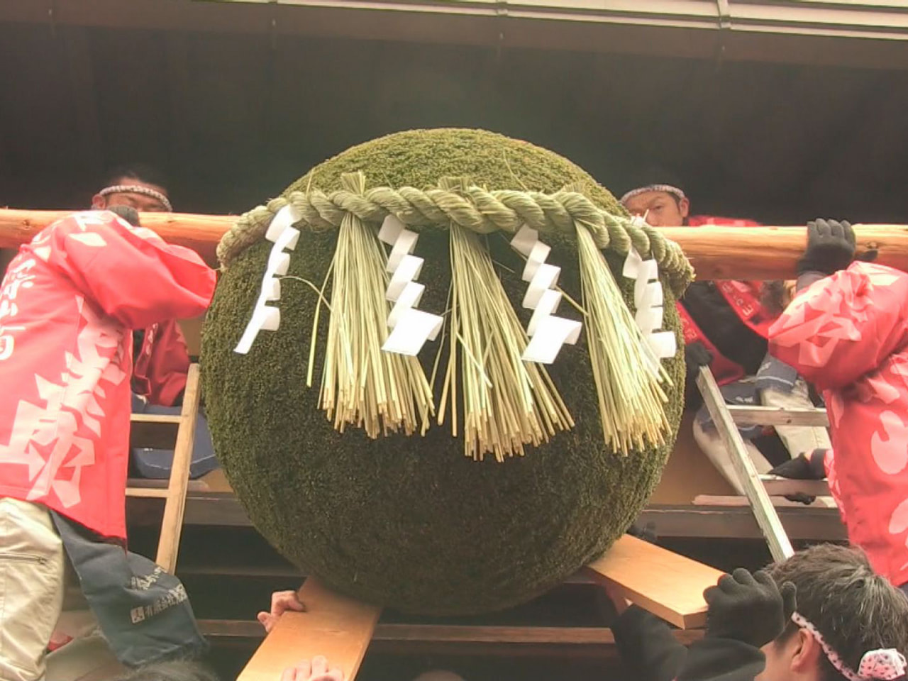 新酒の出来上がりを知らせる新しい杉玉が、高山市の酒造店に掲げられました。 高山市...