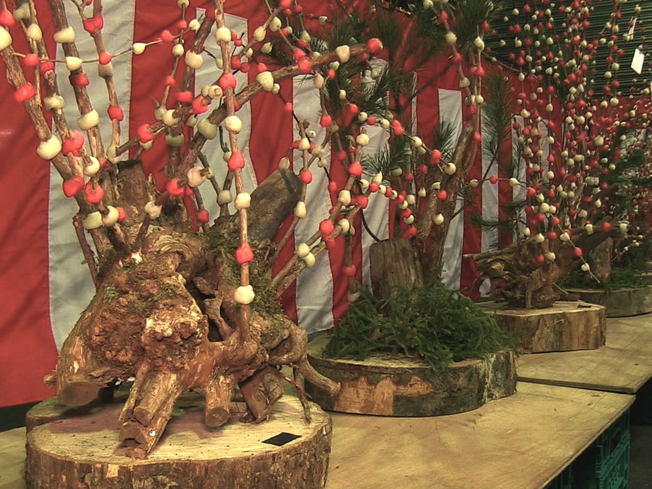 飛騨地方の正月飾り「花もち」の初競りが１４日、高山市の公設地方卸売市場で行われま...
