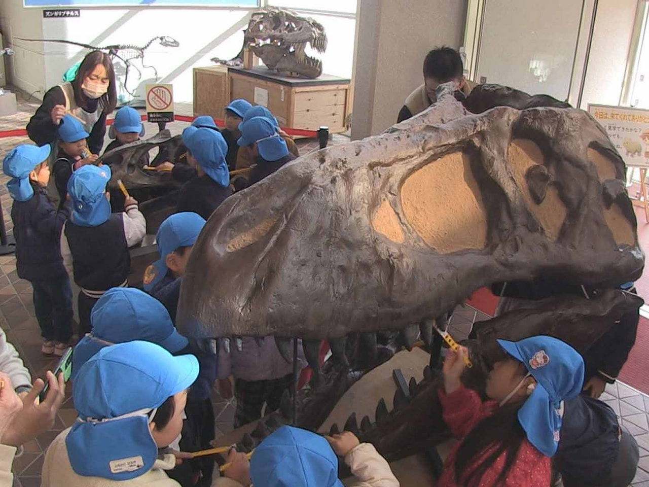 関市にある県博物館で年末恒例の骨格標本のすす払いが行われ、お手伝いにきた園児たち...