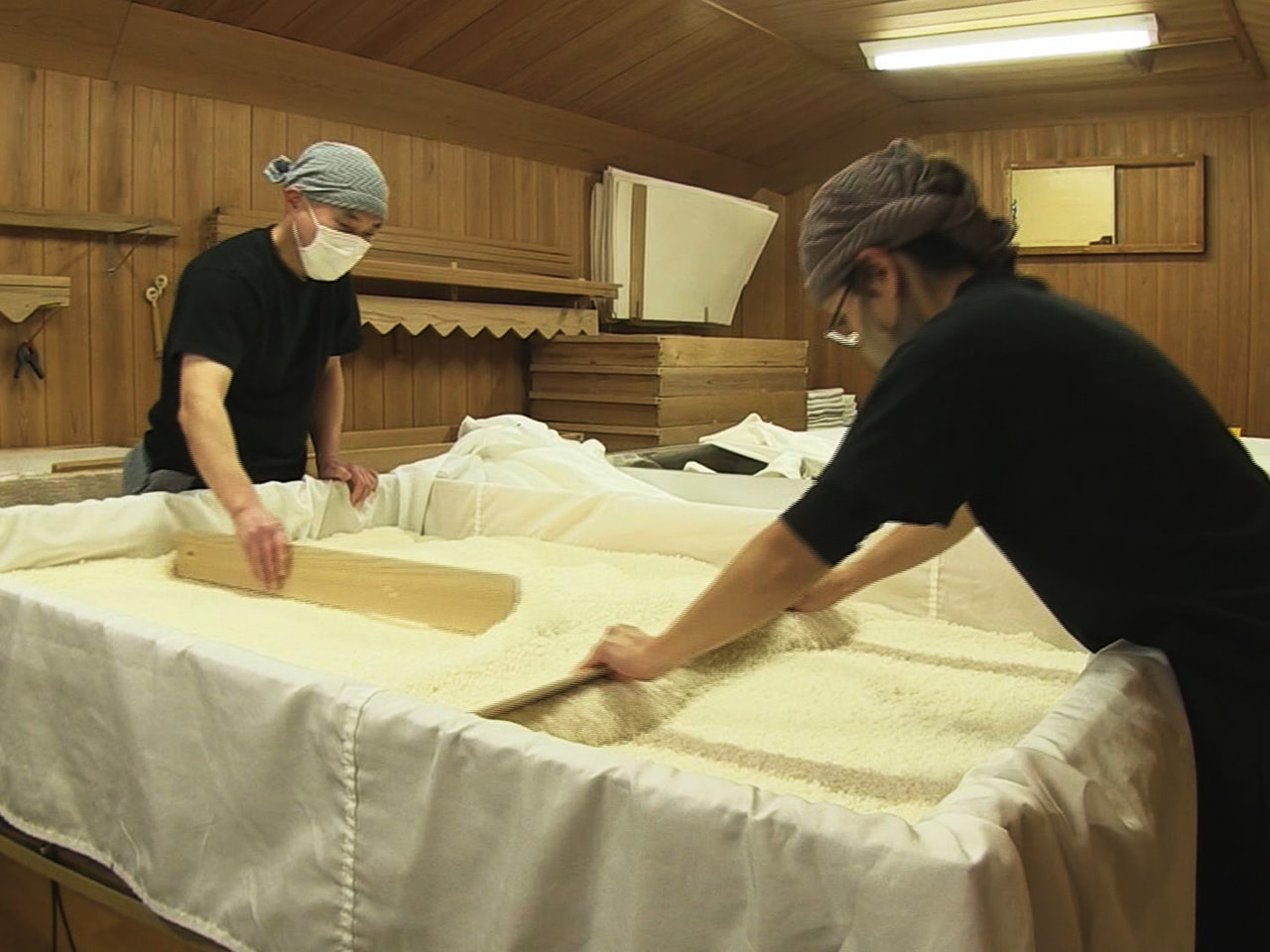 コロナ禍で需要が落ちている地元産のコシヒカリを使った日本酒の仕込み作業が岐阜県飛...