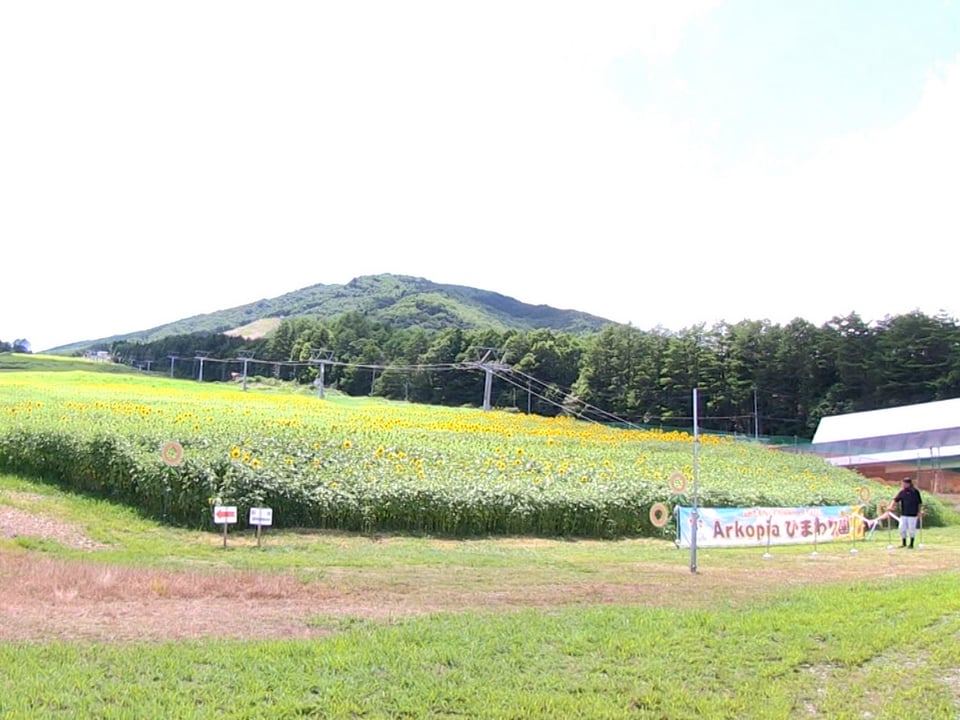 地元園児がひまわり園オープン祝う 岐阜県高山市のスキー場 ニュース ぎふチャン 岐阜放送公式サイト
