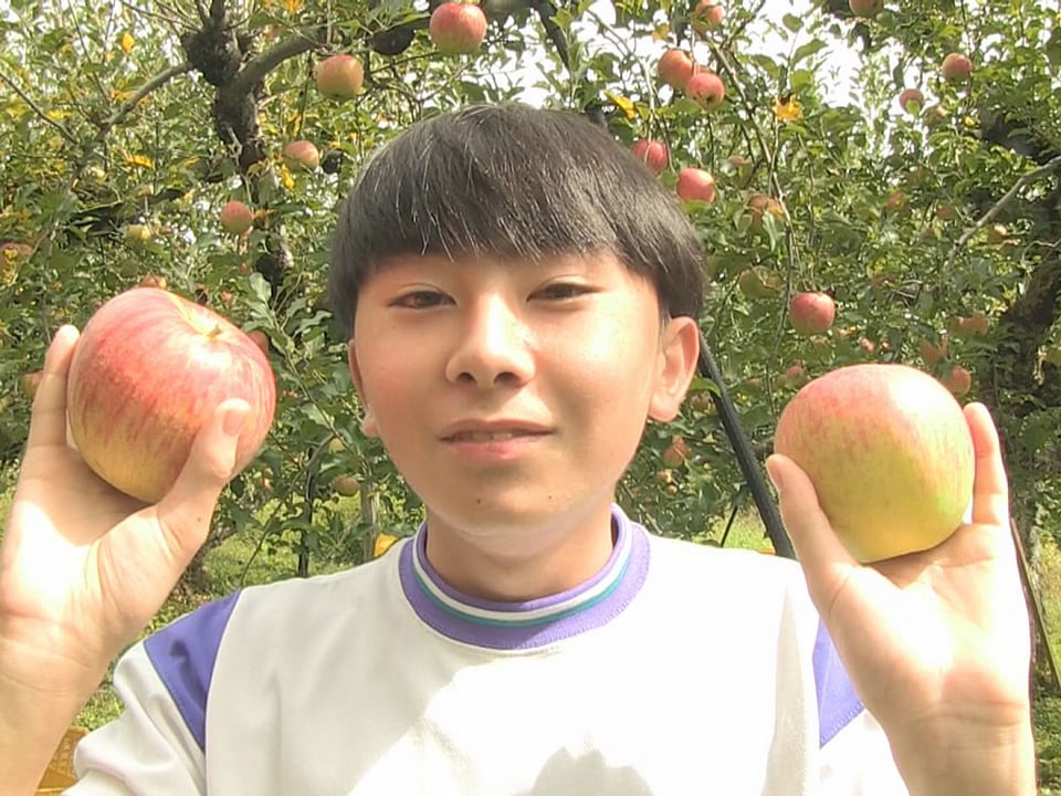 高山市で飛騨りんごの収穫 秋の味覚｜ニュース｜ぎふチャン｜岐阜放送