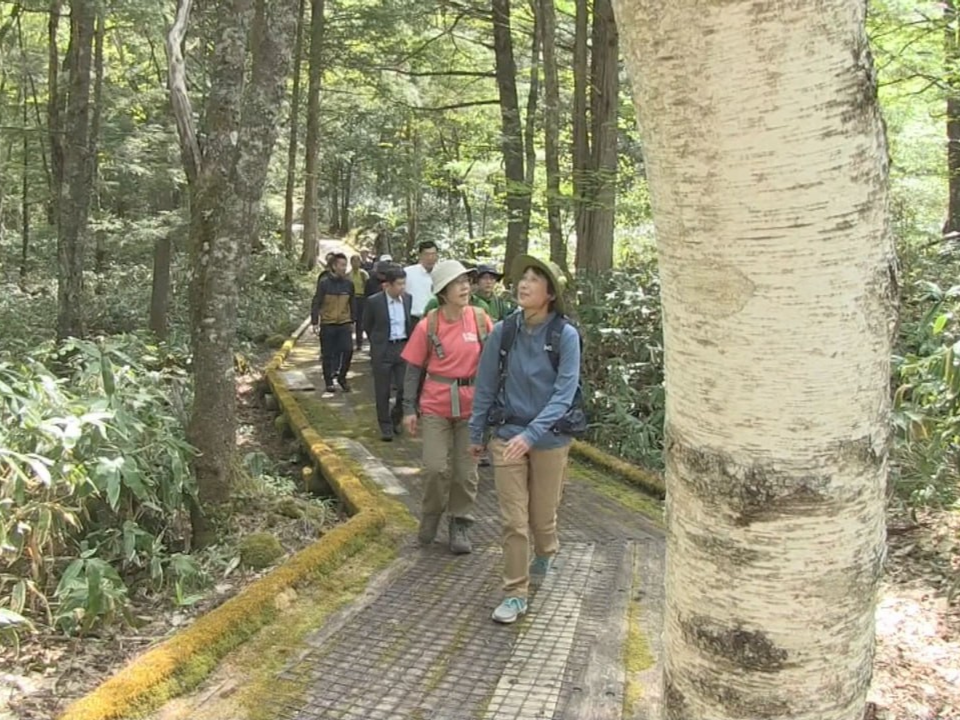 高山市丹生川町の乗鞍岳山麓に広がる「五色ヶ原の森」が20日オープンし、関係者らで...